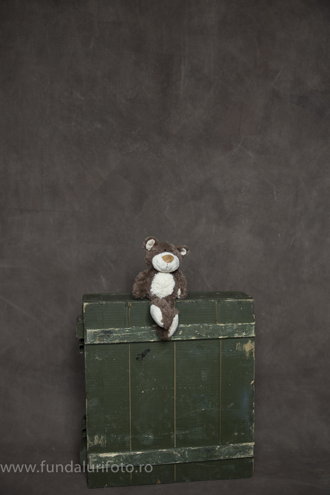 fundal foto vopsit manual canvas studio foto6