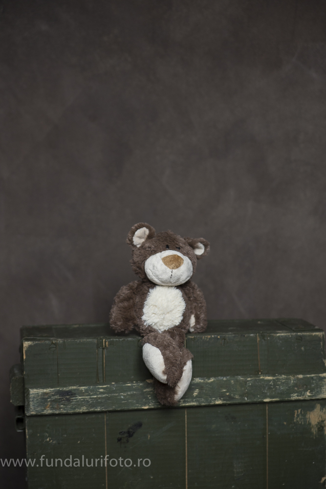 fundal foto vopsit manual canvas studio foto7