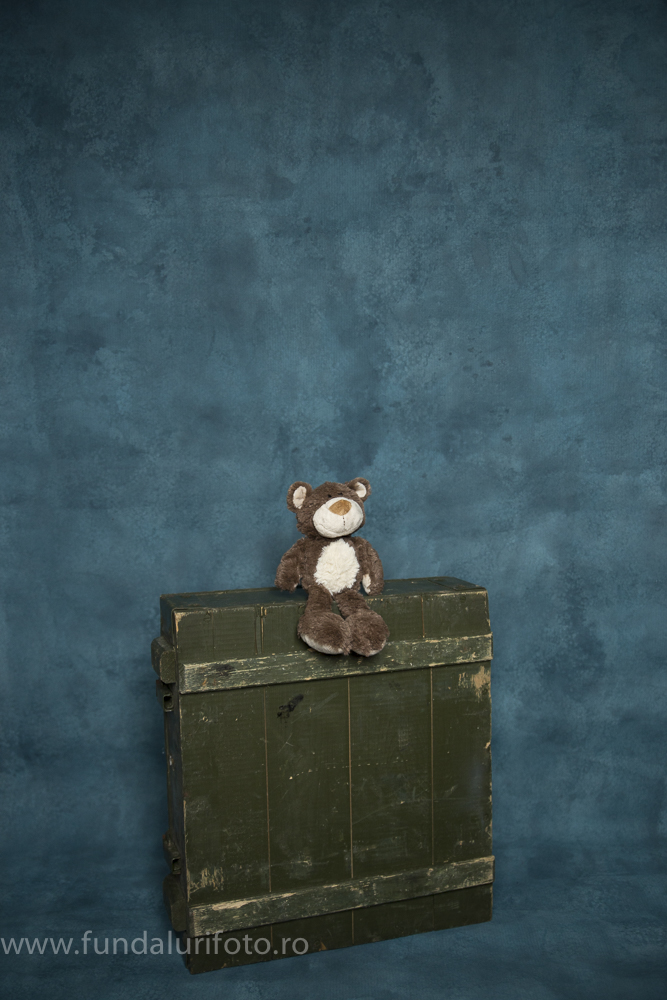 fundal foto vopsit manual canvas studio foto8