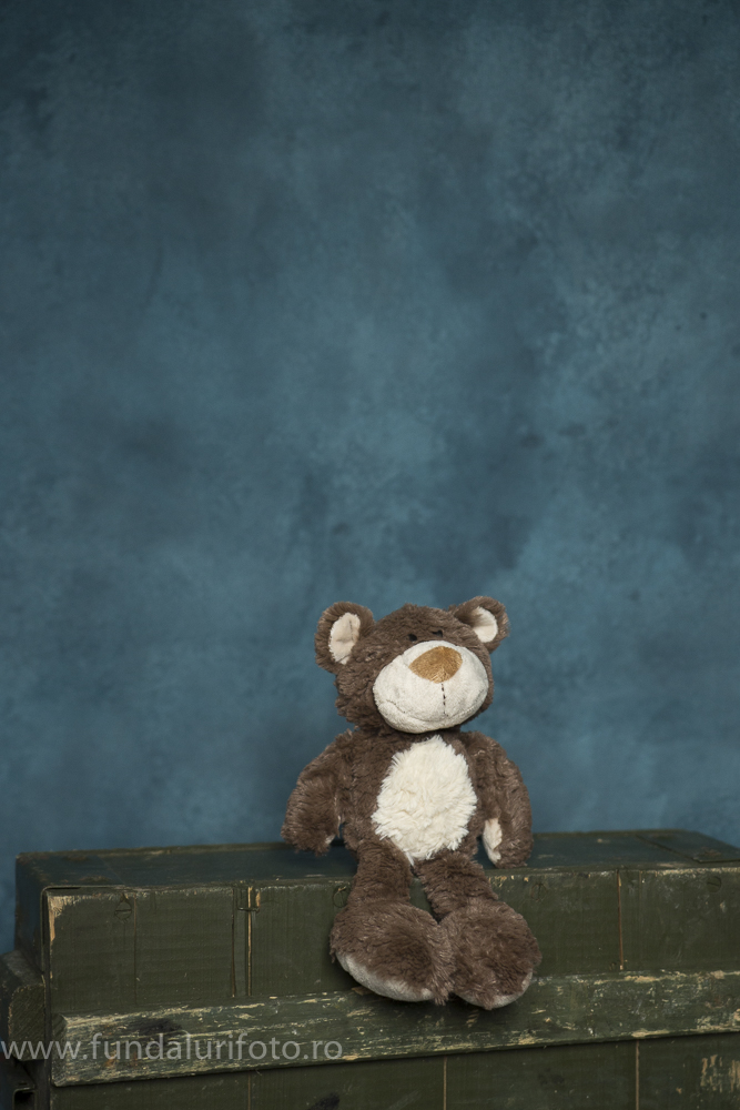 fundal foto vopsit manual canvas studio foto9