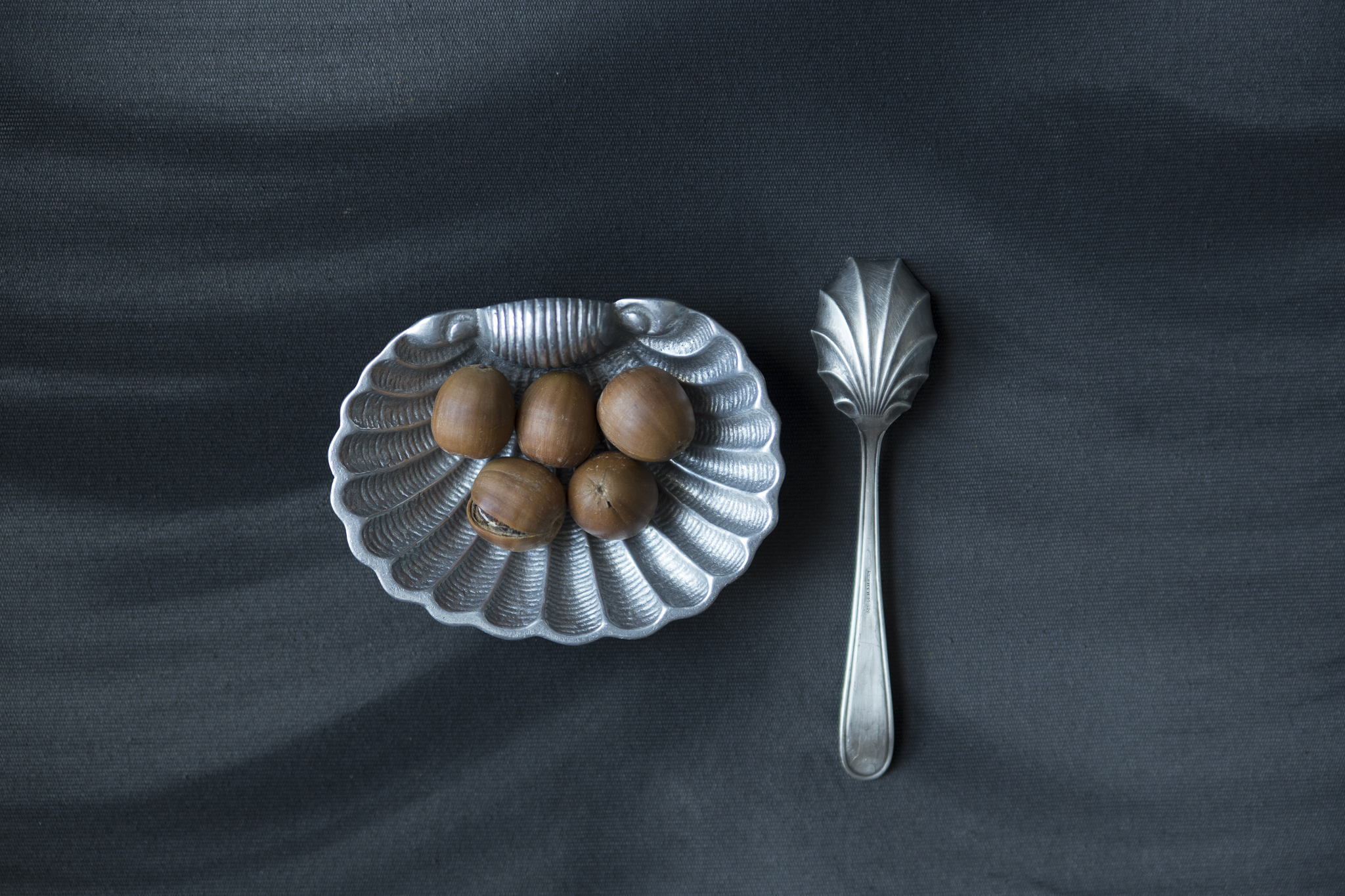 fundal foto vopsit manual canvas web-9781