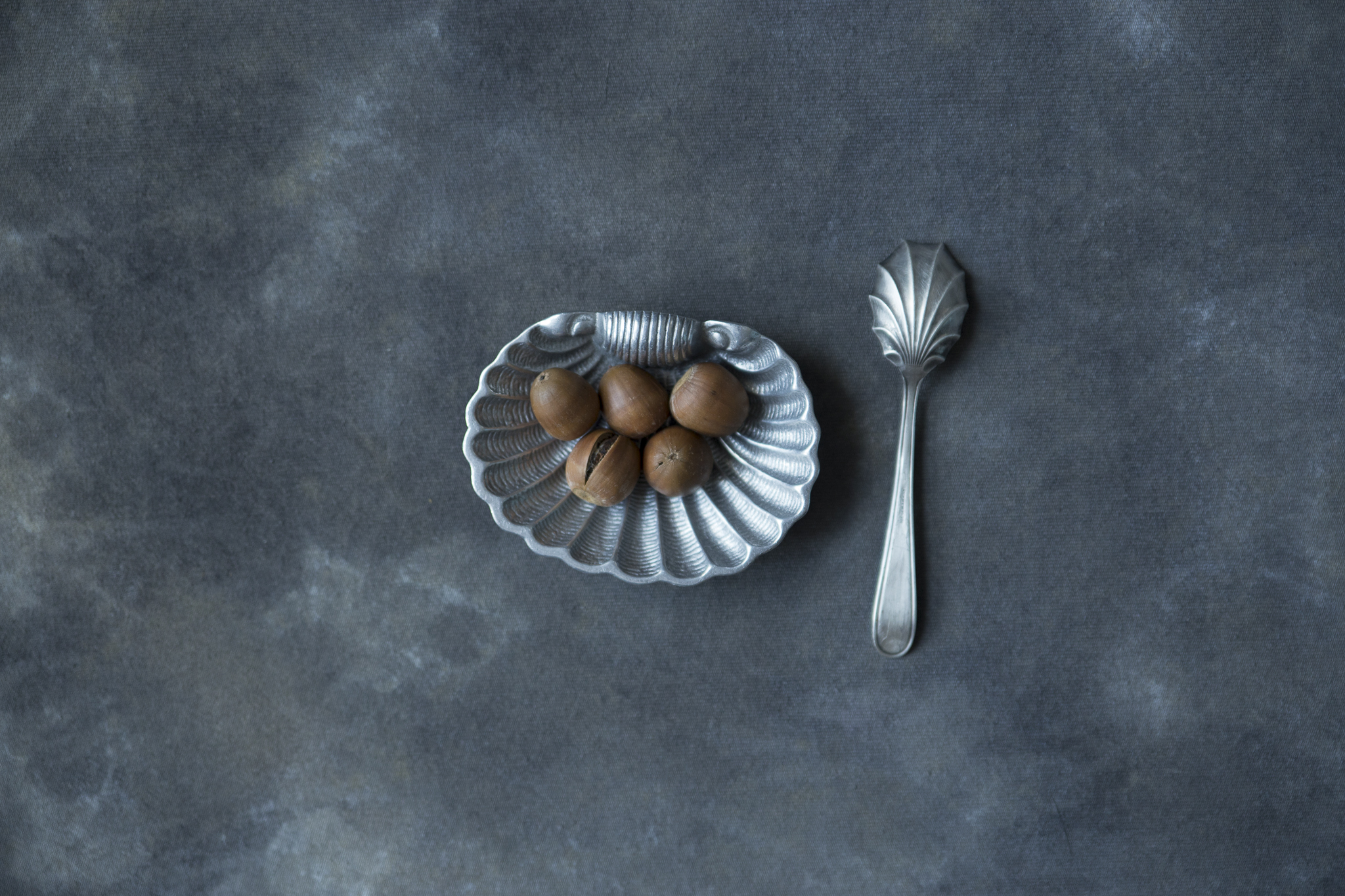 fundal foto vopsit manual canvas web-9786