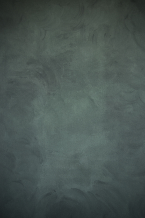 fundal foto vopsit manual panza canvas_