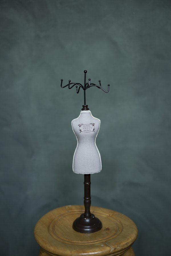 fundal foto vopsit manual panza canvas_-2