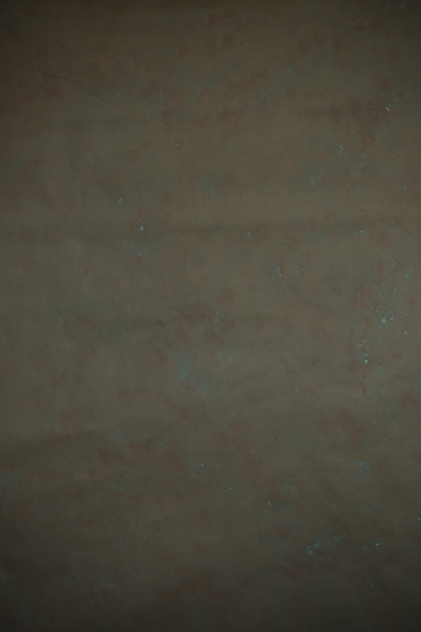 fundal foto vopsit manual panza canvas_-5