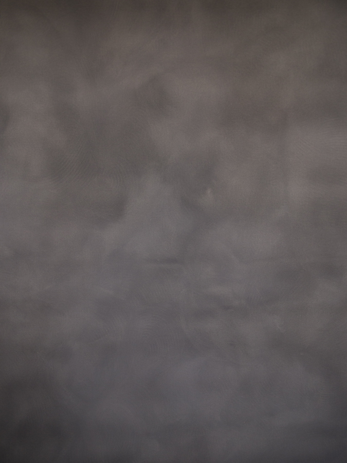 fundal foto vopsit manual panza canvas_-7