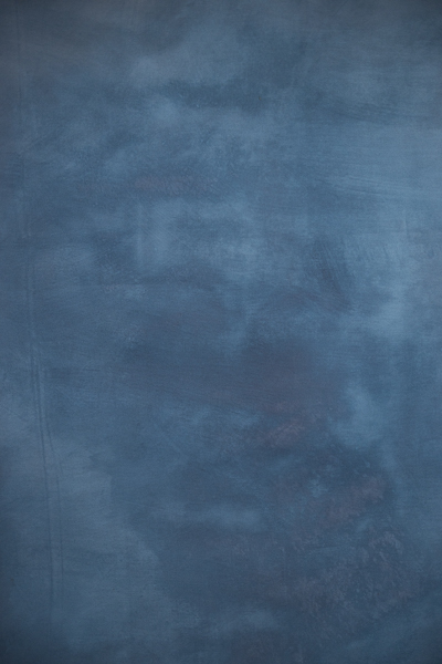 fundal foto vopsit manual pe material textil gen canvas21 (1 of 1)