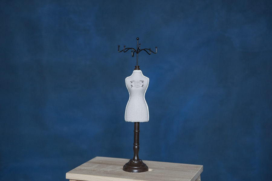 fundal foto vopsit manual pe material textil gen canvas5 (1 of 1)