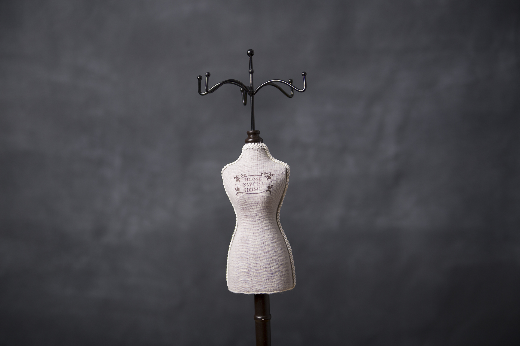 fundal foto vopsit manual pentru studio2