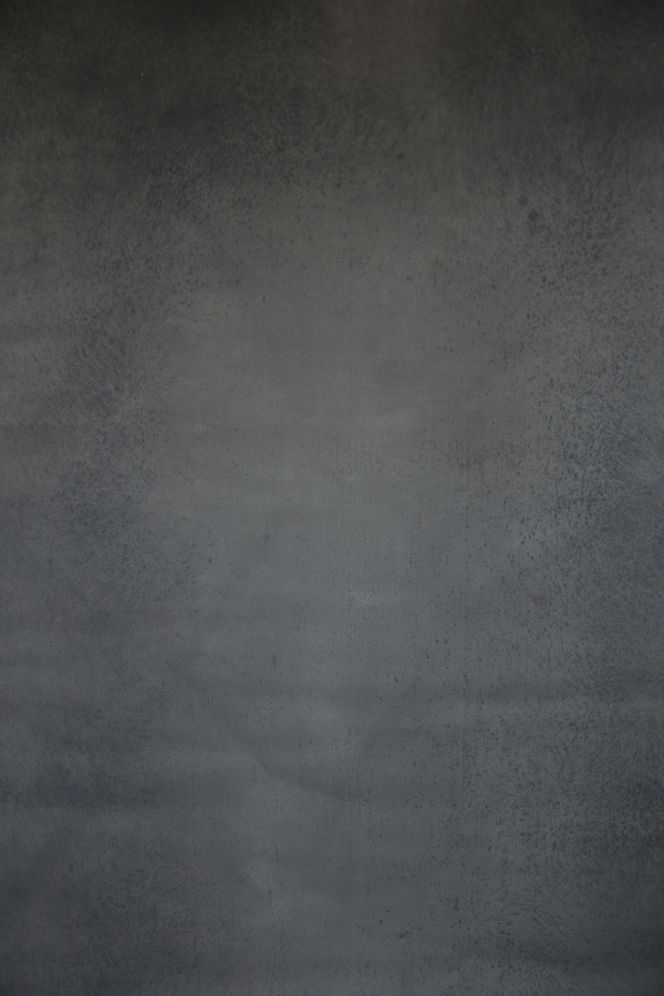 wFundal foto vopsit manual-9531