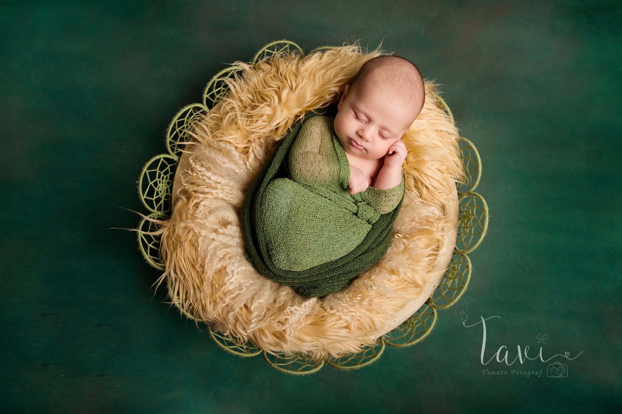 Fundal foto vopsit canvas