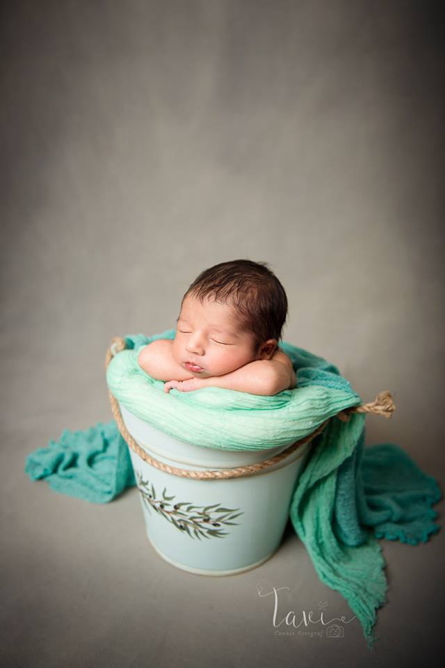 fundal foto vopsit manual