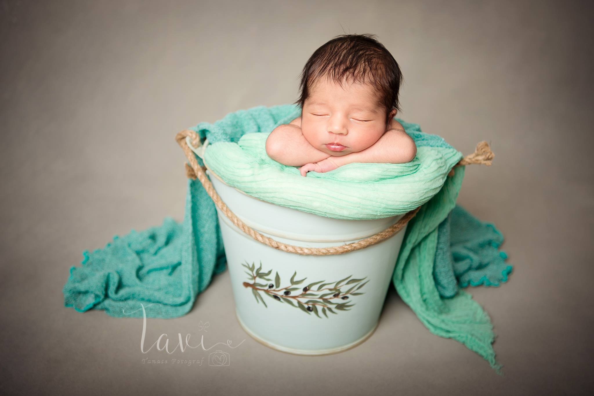 fundal foto vopsit manual