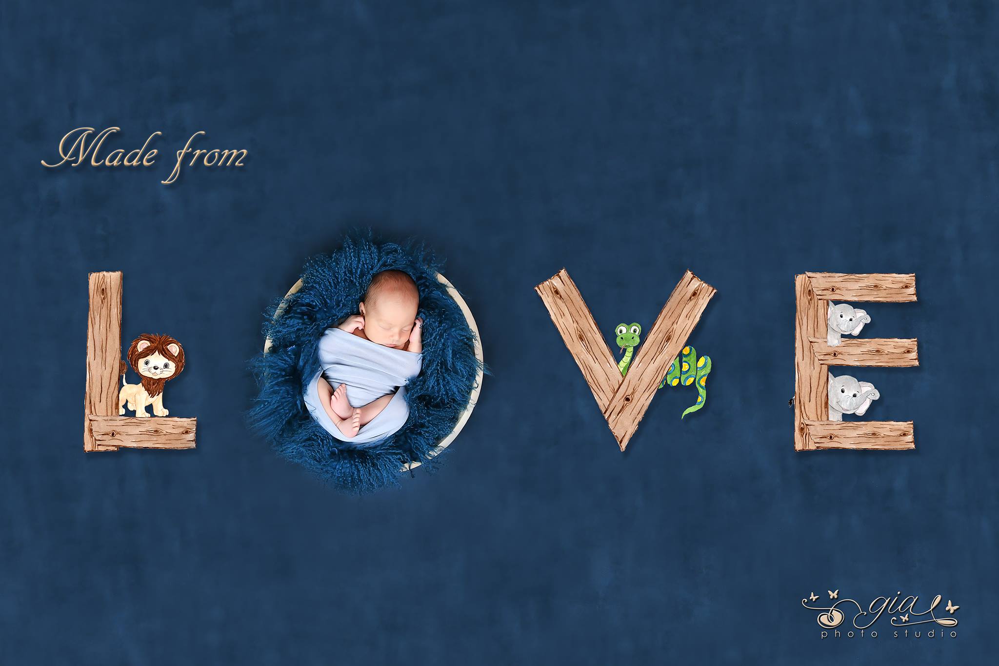 fundal foto vopsit manual