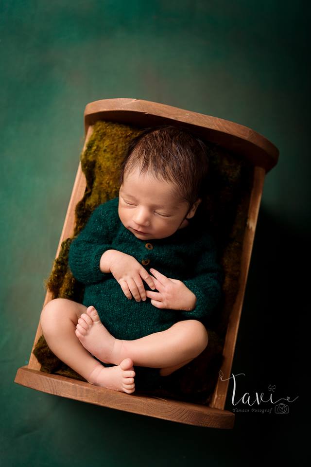 fundal foto vopsit manual