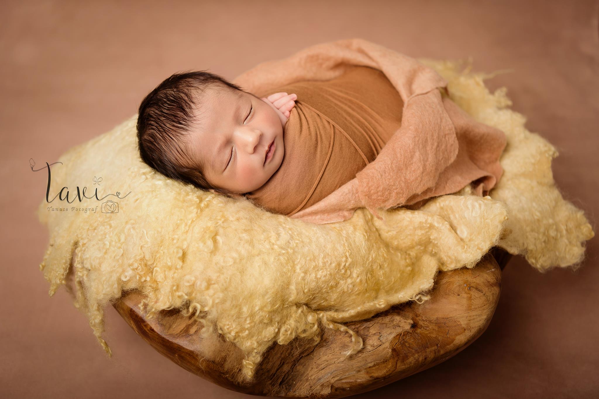 fundal foto vopsit manual