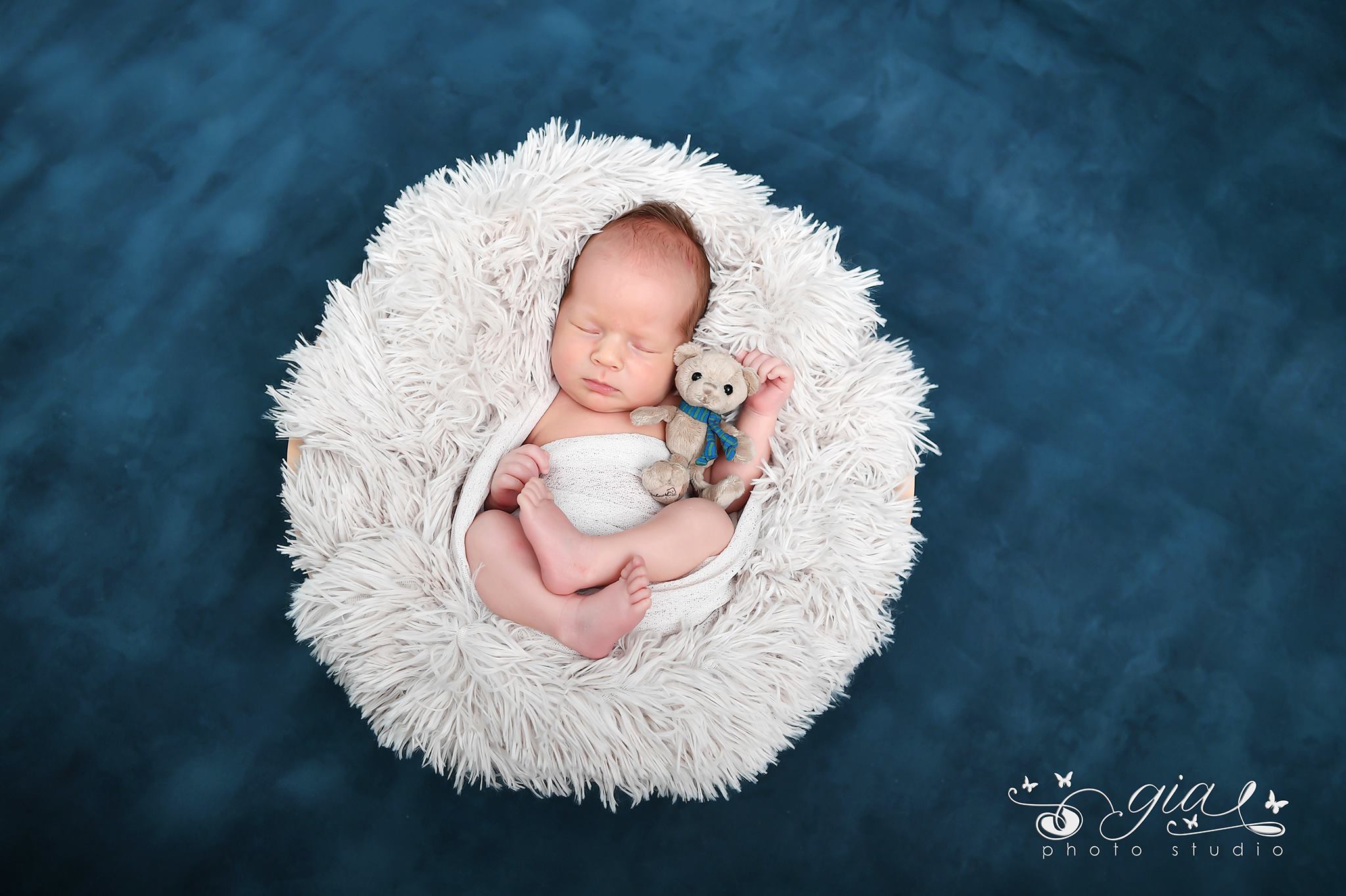 fundal foto vopsit manual