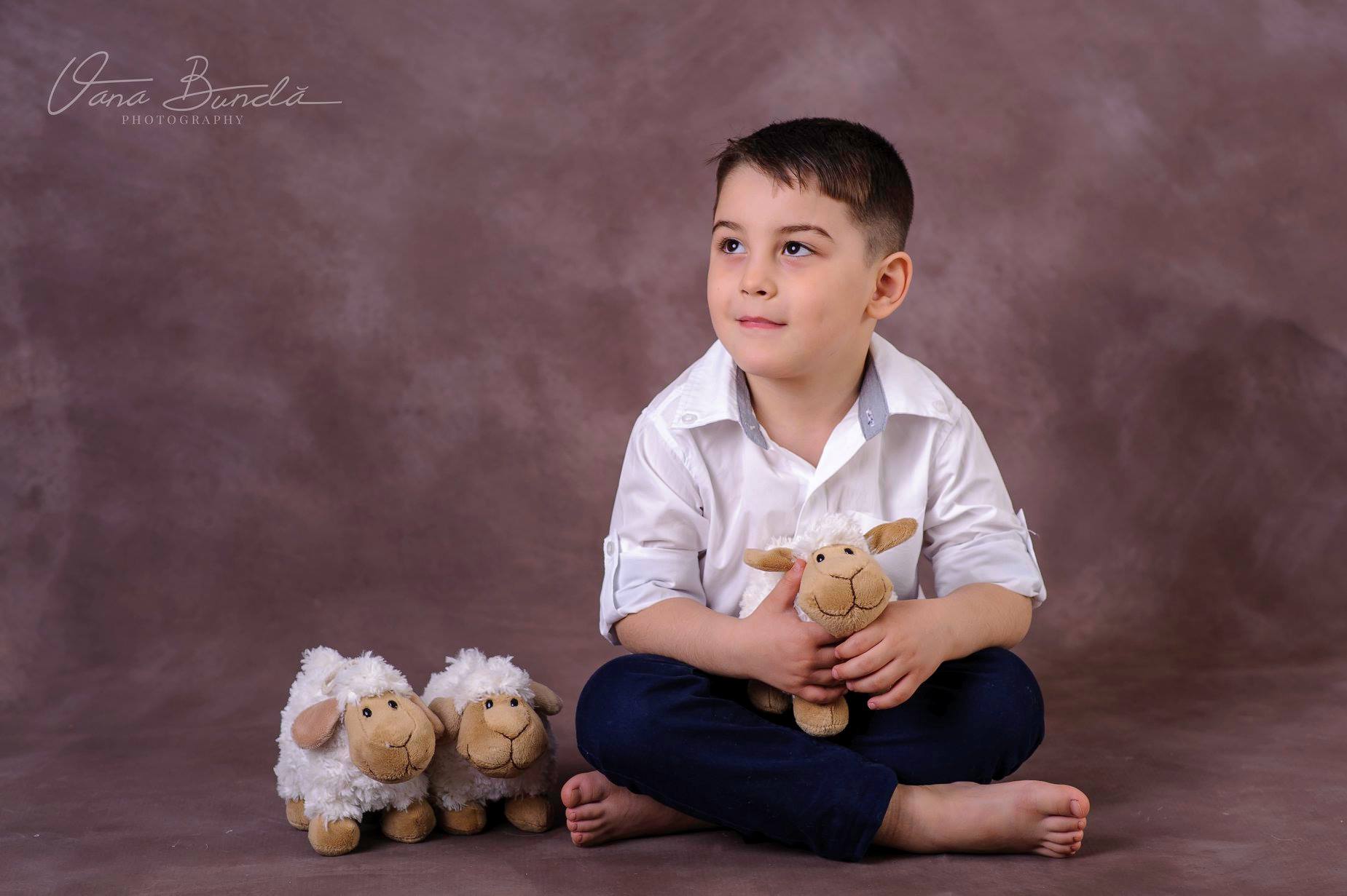 fundal foto vopsit manual pe canvas