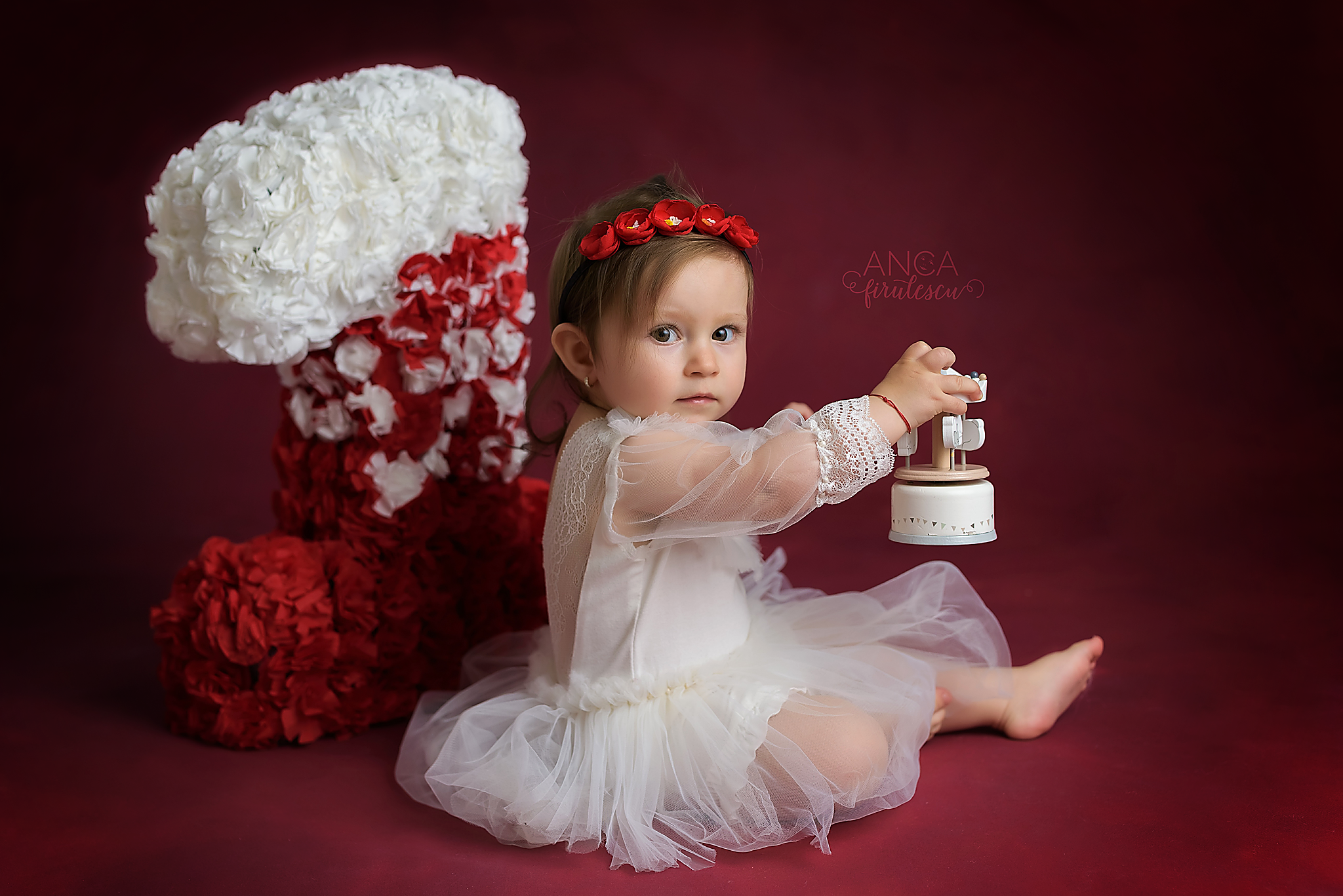 fundal foto textil vopsit manual