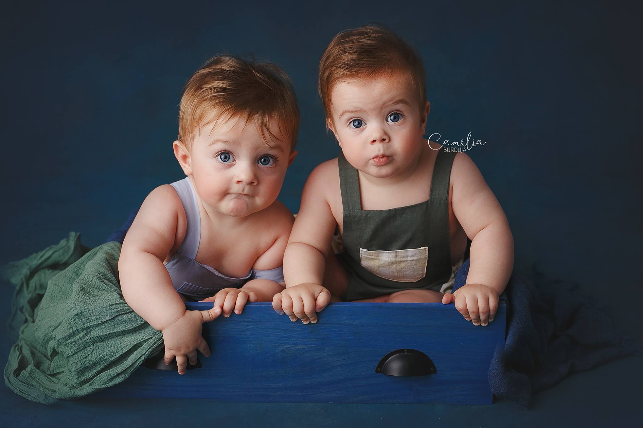 fundal foto vopsit manual pe canvas