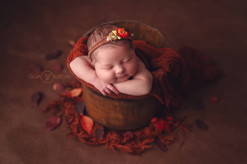 fundal foto vopsit manual