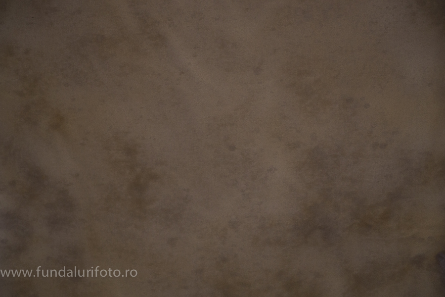 fundal foto vopsit manual canvas