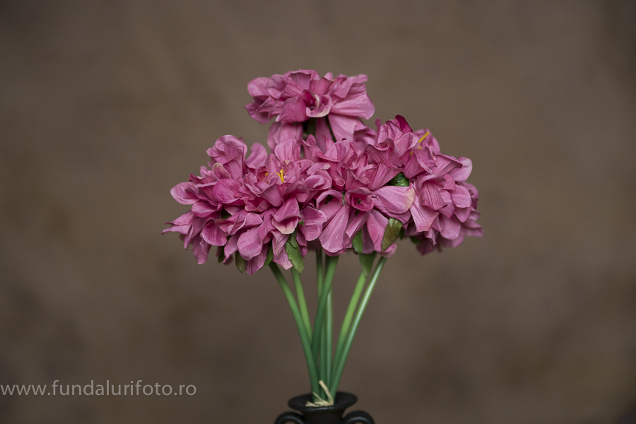 fundal foto vopsit manual canvas