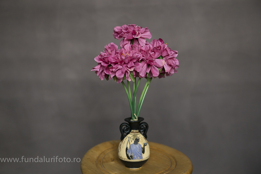 fundal foto vopsit manual canvas