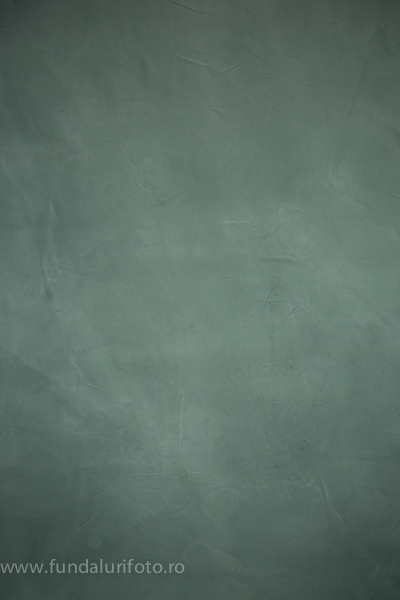 fundal foto vopsit manual canvas