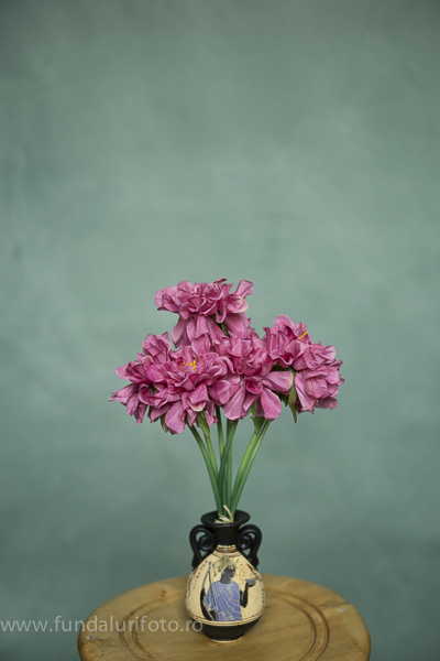 fundal foto vopsit manual canvas