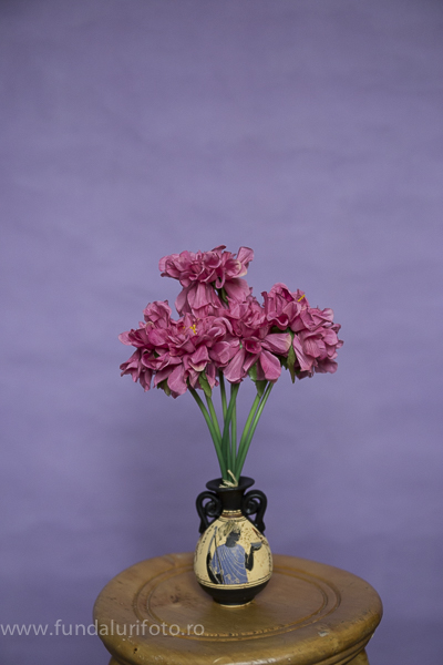 fundal foto vopsit manual canvas