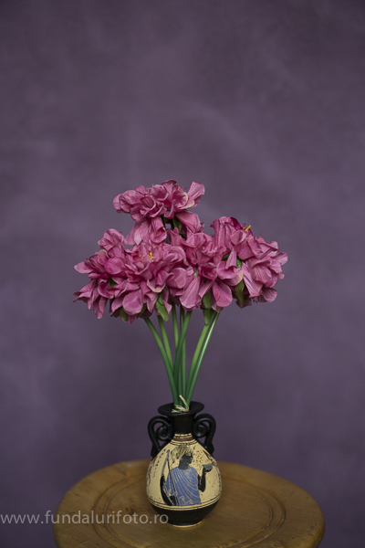 fundal foto vopsit manual canvas