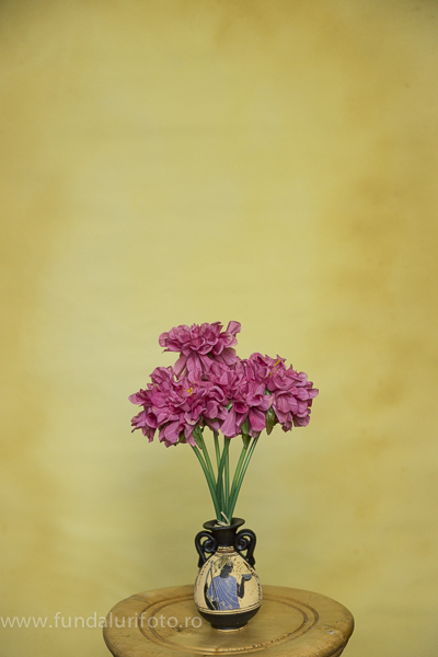 fundal foto vopsit manual canvas