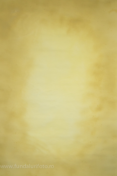 fundal foto vopsit manual canvas