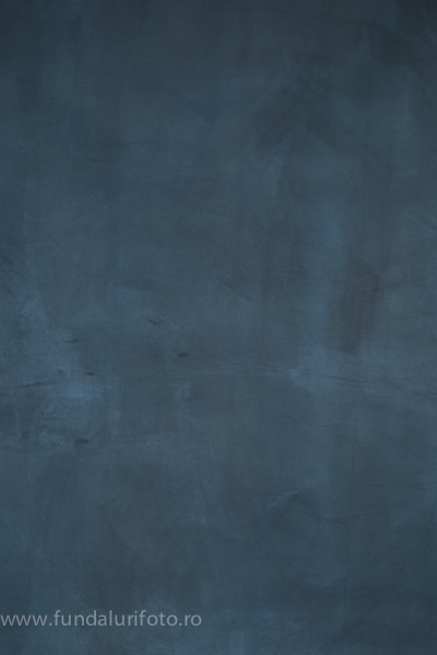 fundal foto vopsit manual canvas