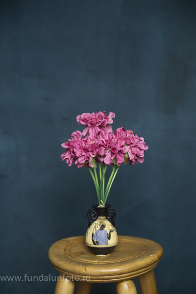 fundal foto vopsit manual canvas