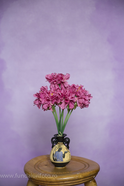 fundal foto vopsit manual canvas