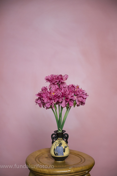 fundal foto vopsit manual canvas