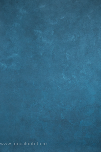 fundal foto vopsit manual canvas