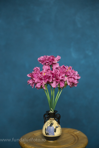 fundal foto vopsit manual canvas