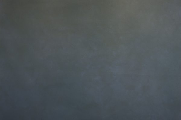 fundal foto vopsit manual canvas-8980