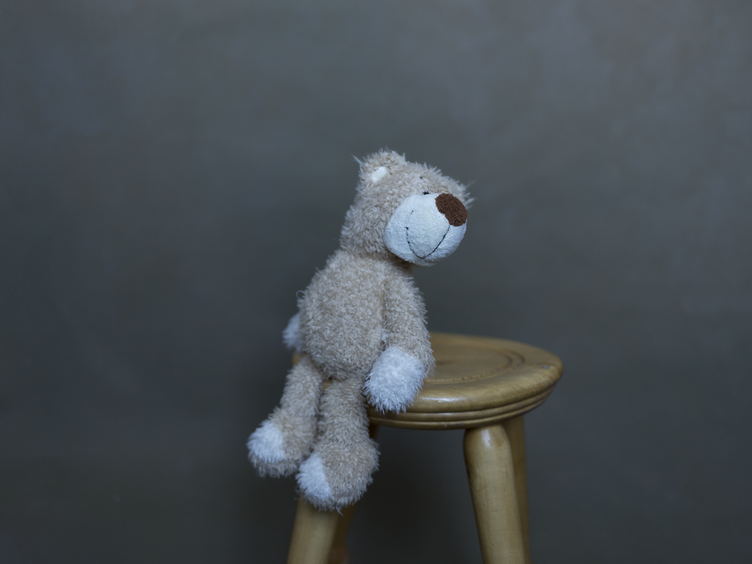 fundal foto vopsit manual canvas-8985