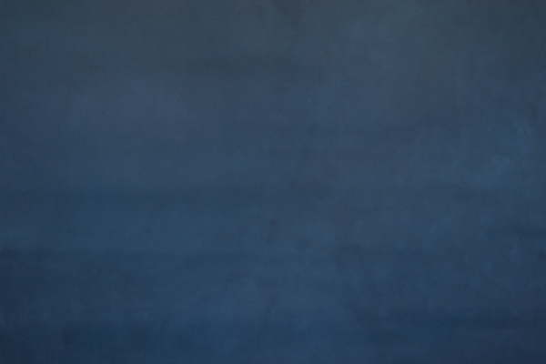 fundal foto vopsit manual canvas-8987