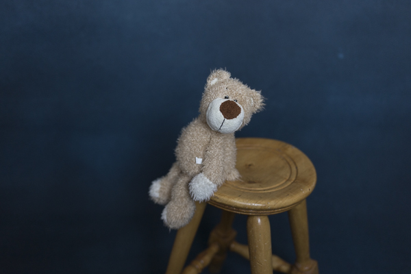 fundal foto vopsit manual canvas-8994