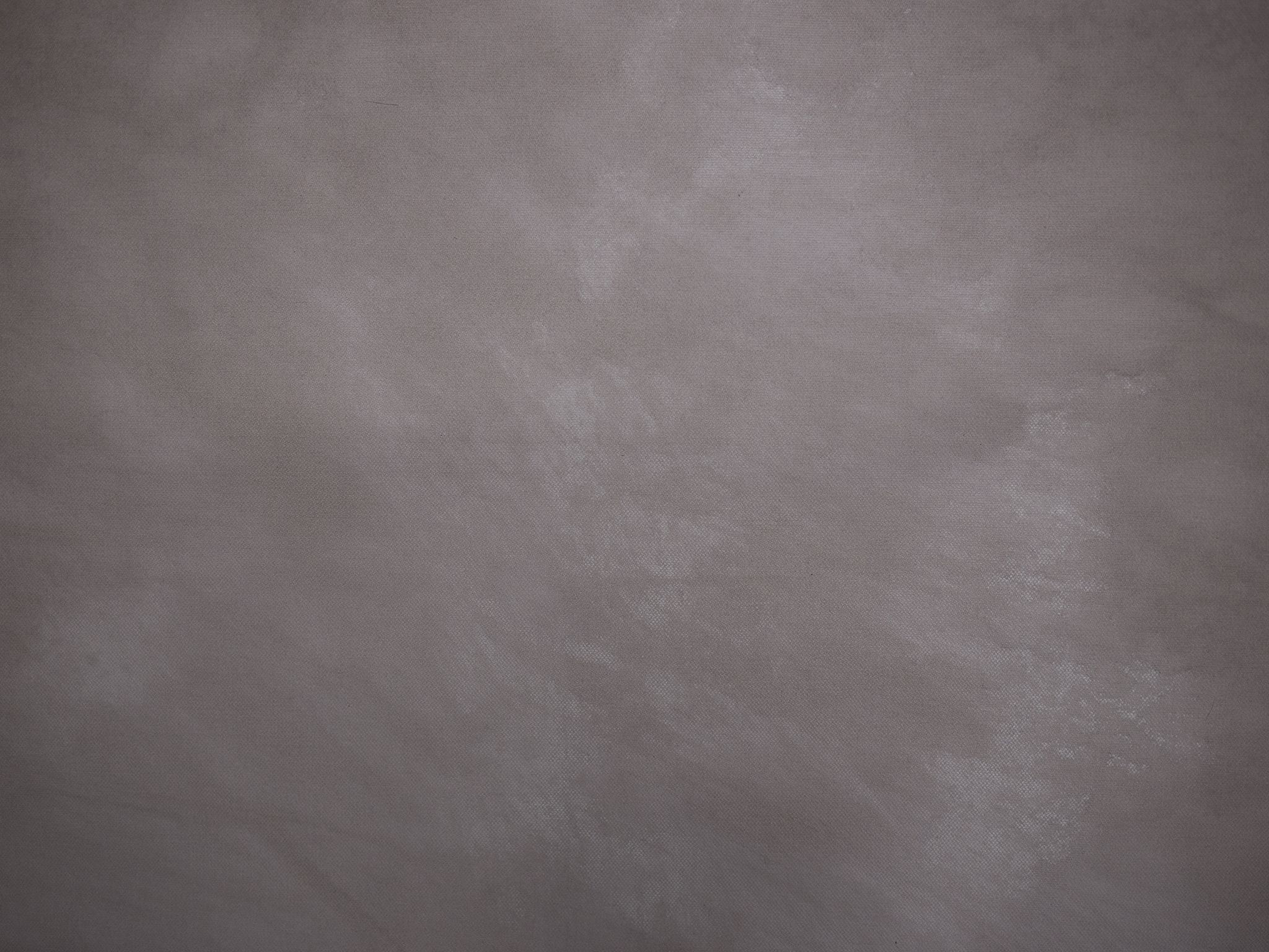 fundal foto vopsit manual panza2