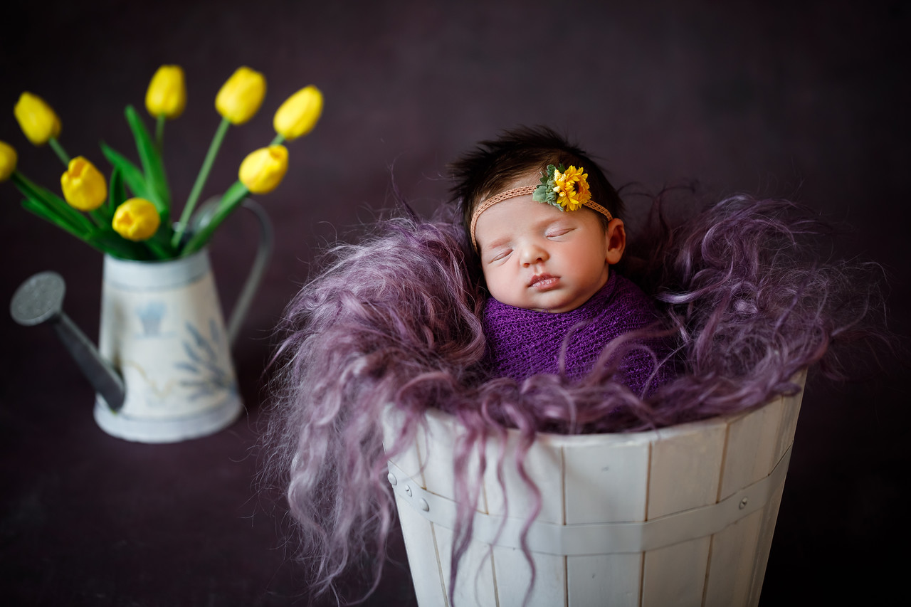 fundal foto studio bebelusi